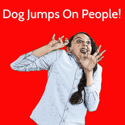 DOG JUMPS ON PEOPLE 1