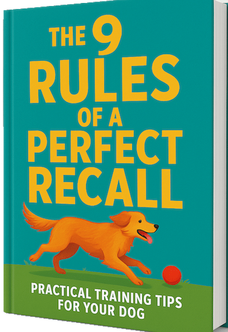 9 RULES FOR A PERFECT RECALL FRONT COVER RESIZED