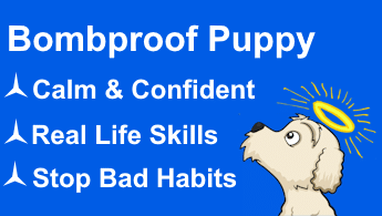 BOMBPROOF PUPPY