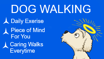 DOG WALKING