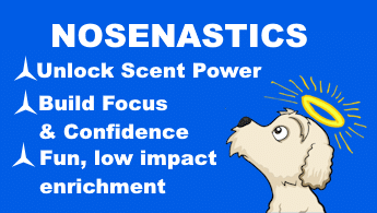 NOSENASTICS