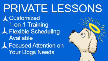 PRIVATE LESSONS