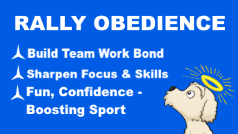 RALLY OBEDIENCE