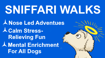SNIFFARI WALKS