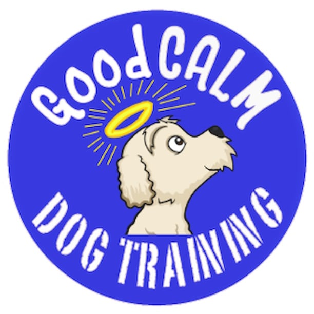 Good Calm Dog Training