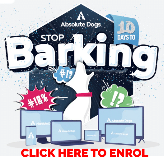 Barking Solved 21 BARKING COURSE 1